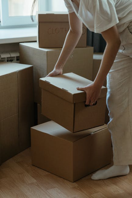 Two movers from Man with Van Chessington are inside a well-lit room with white walls and large arched windows, engaged in a home relocation process. One mover, with an afro hairstyle and wearing a dar